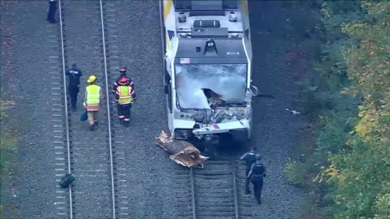 1 died, 6 hurt after tree fell on NJ Transit Light Rail train in Mansfield Township – Celebsity